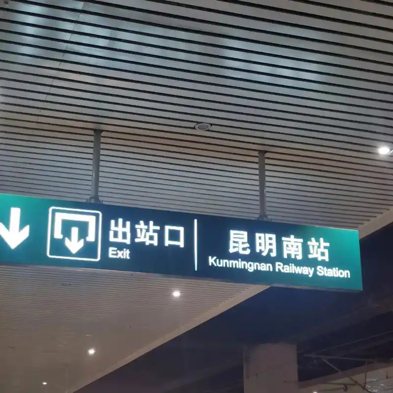 纯享版.到达云南的第一站是昆明  早上一早就去了斗南鲜花市场 - 抖音