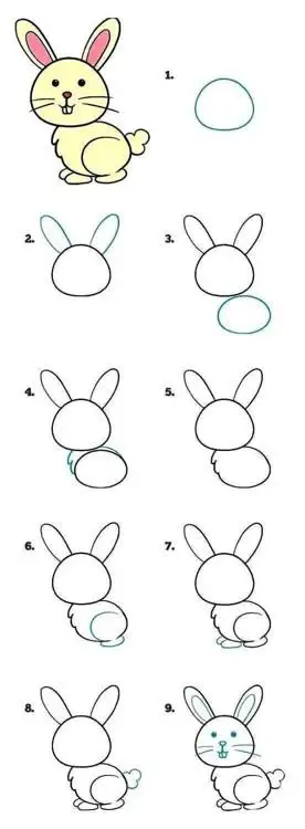 可爱小黄兔子简单画法步骤图解教程可爱的皮卡丘简笔画步骤图解教程