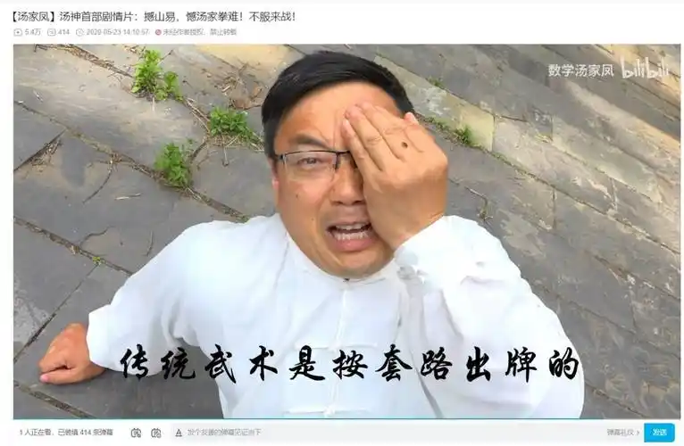 一句话,让b站网友自愿被骂2000万次_汤家凤_视频_教学