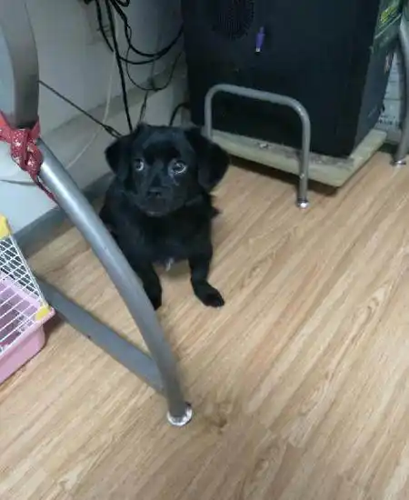 我脖子起癣.不知道是什么原因.