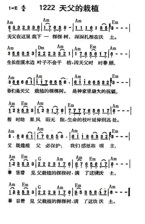 王子空间-图片-天父的栽植