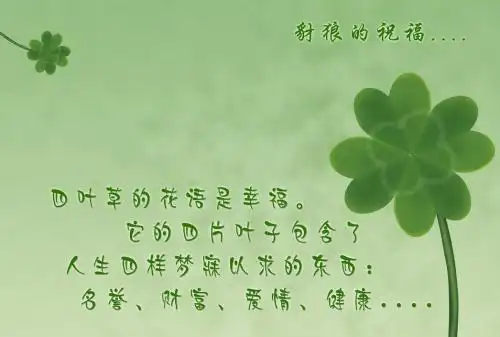 四叶草代表什么意思,四叶草的寓意,四叶草图片大全唯美,幸运四叶草