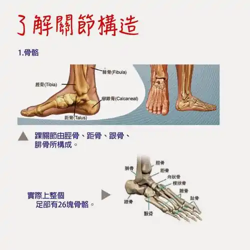 排球防护知识踝关节扭伤