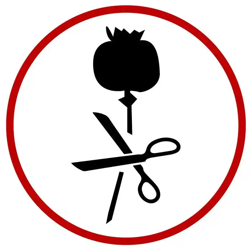 第34个国际禁毒日丨珍爱生命远离毒品