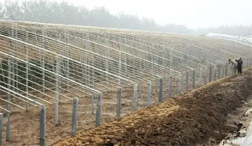 葡萄水泥杆多少钱一根速诚水泥制品加工安康水泥柱子