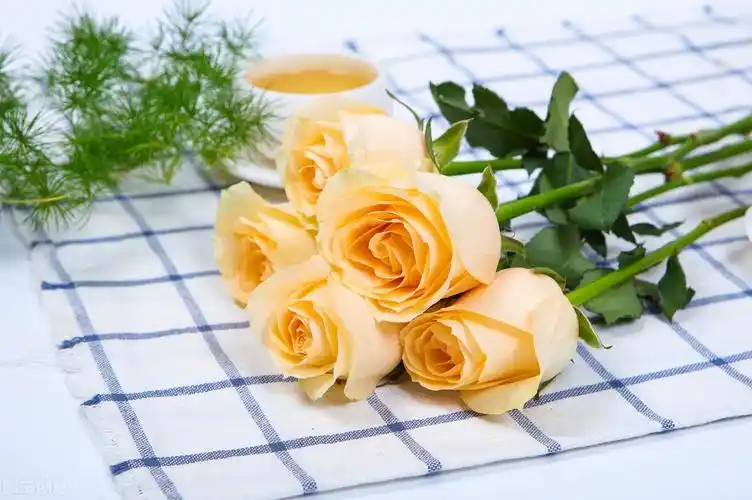 香槟玫瑰多少钱一支(11朵香槟玫瑰价格是多少)插图(2)