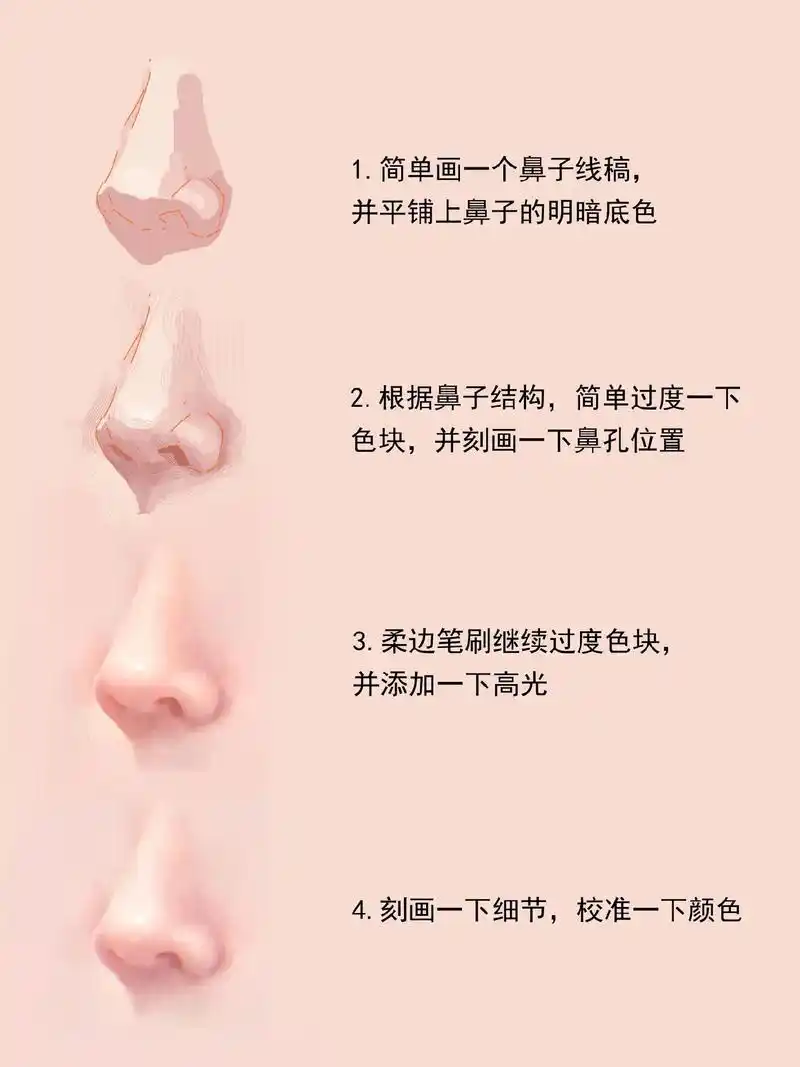 鼻子怎么画?四张图教会你,从0到1学画画#画画 #procr - 抖音