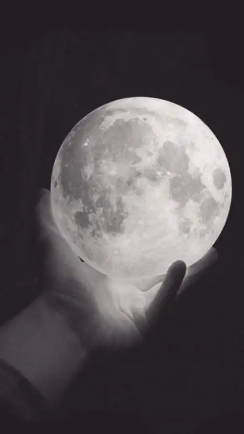 把月亮握在手心