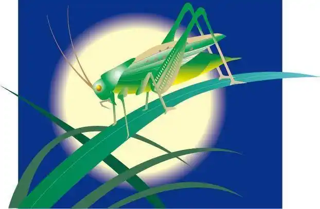 图品汇 设计元素 卡通手绘 矢量蛐蛐素材上图作品的源文件由图品汇