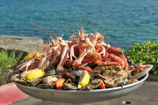 吃货福利|去法国葡萄酒产区必吃的 24 种经典美食