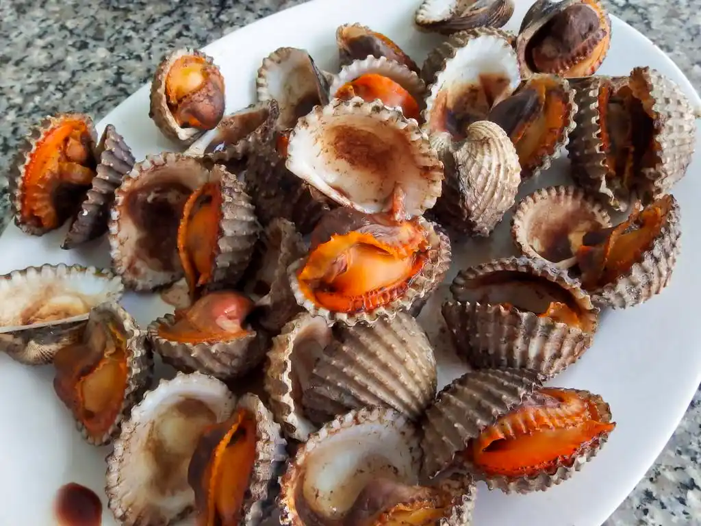 烤的烤蚶上白盘子里