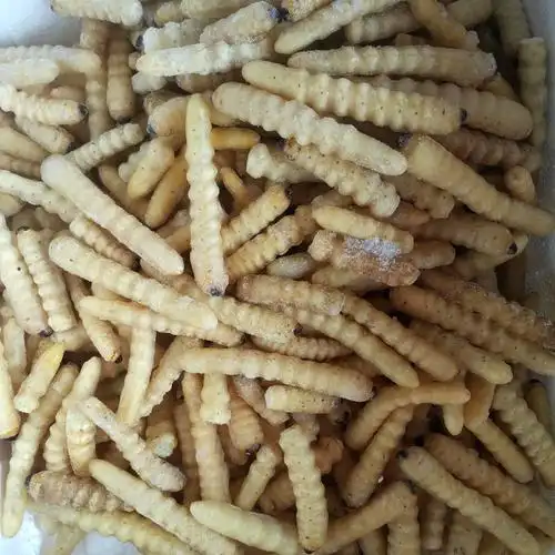 长期批发柴虫木虫木花食用昆虫速冻柴虫云南特产昆虫