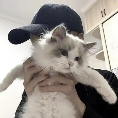 抱猫男头/喜欢猫的男生特别容易让人心动吧 676767_男生头像_我