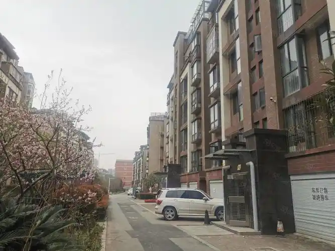 莱茵湖电梯洋房小区仅有一套价位实惠有证可按揭