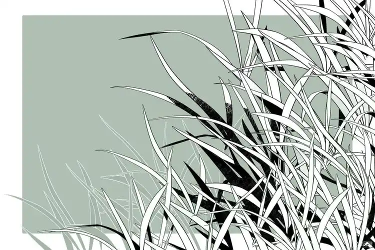 草丛线稿笔刷no1