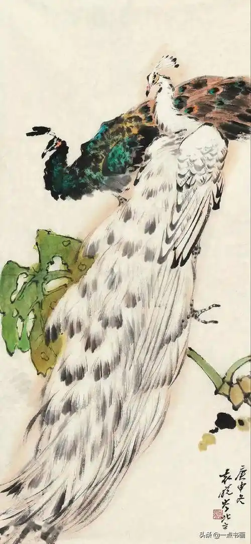 写意孔雀画法讲解_步骤