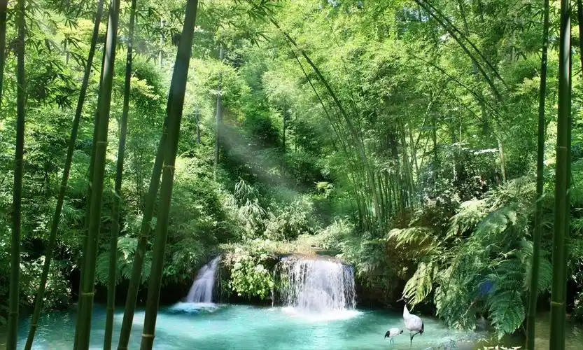 竹林山水风景图片