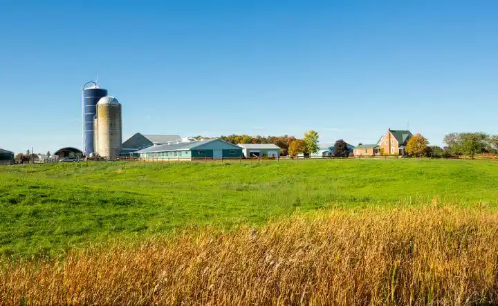 加拿大的农场有什么特点安大叔西洋参带你走进加拿大农场生活
