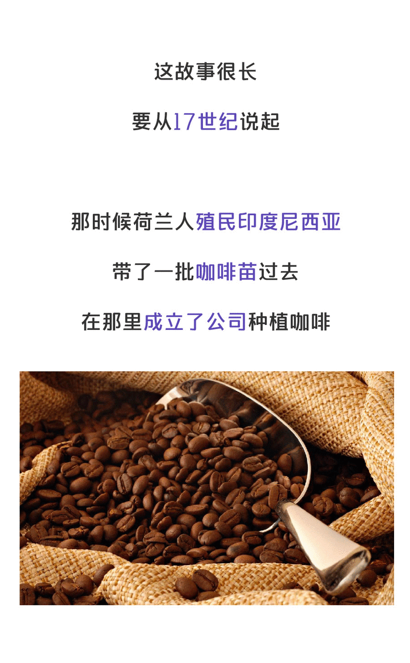 猫屎咖啡:被关在笼子里的残酷咖啡