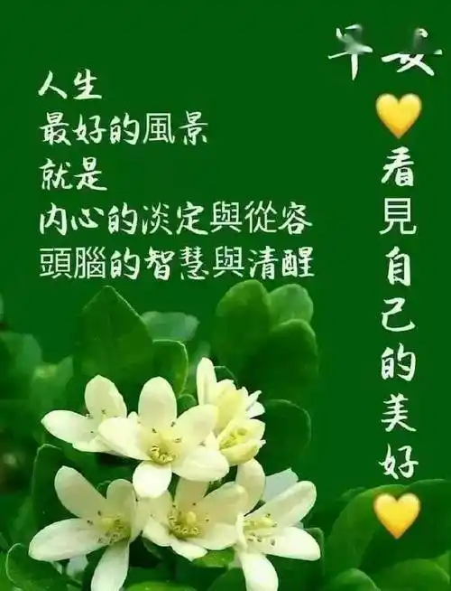 朋友早上好2022最新版问候语表情图片漂亮好看早上好暖心问候祝福语