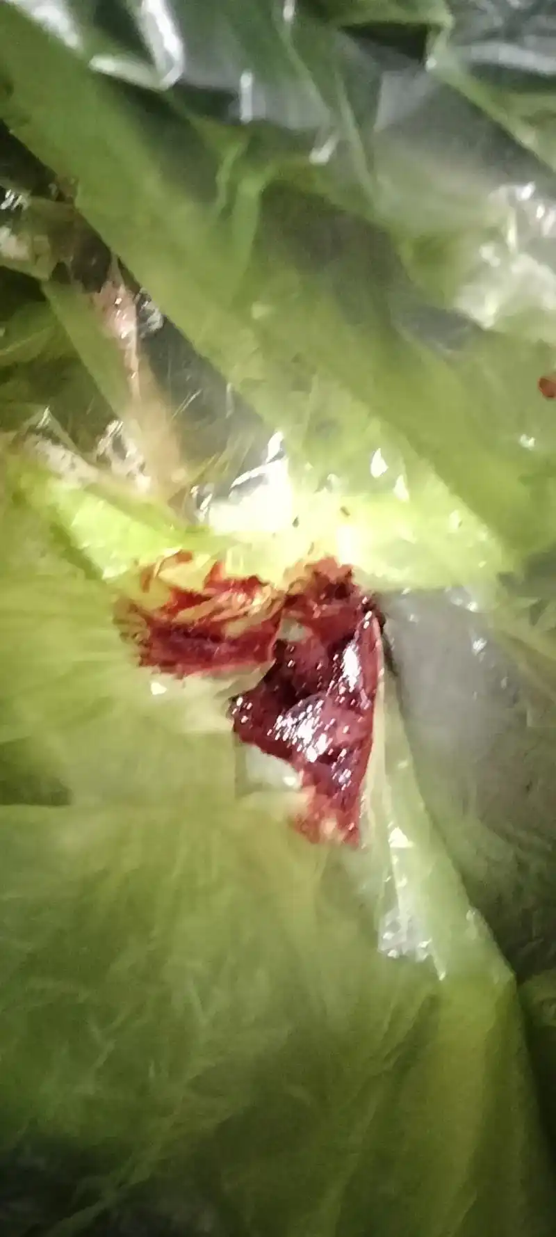 昨天晚上,半夜醒来;嘴里面凉凉的,吐了两口血,发烧烧的,下塘 - 抖音