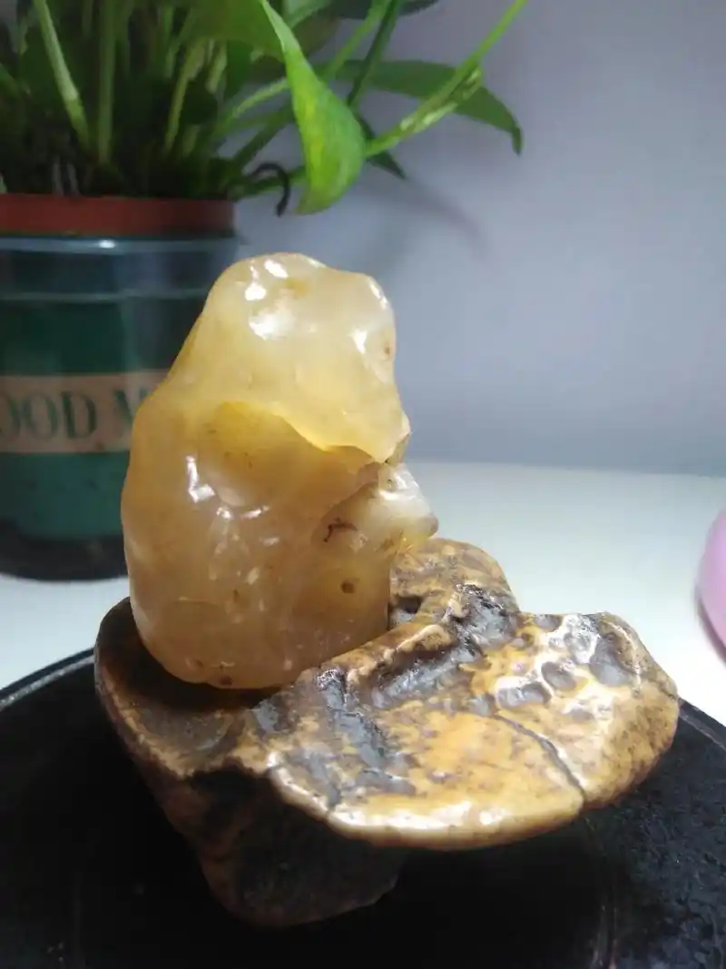 又遇到石猴了!戈壁玛瑙动物奇石:石猴!#石来运转 #以 - 抖音