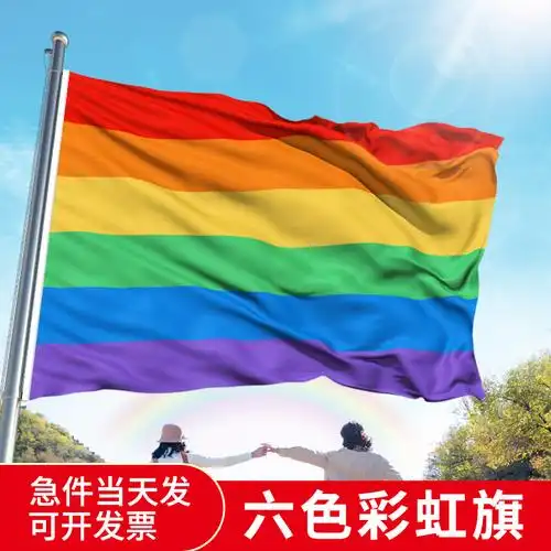 彩旗12345号彩虹旗同志旗帜定做同性恋lgbt旗子五色旗帜