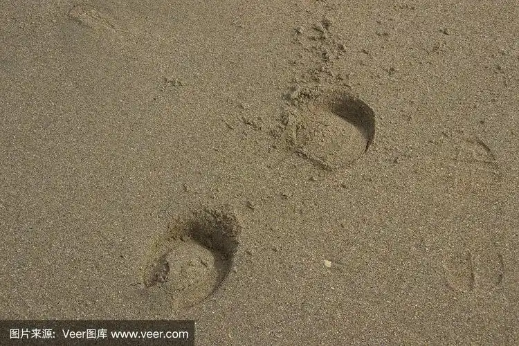 马的脚印