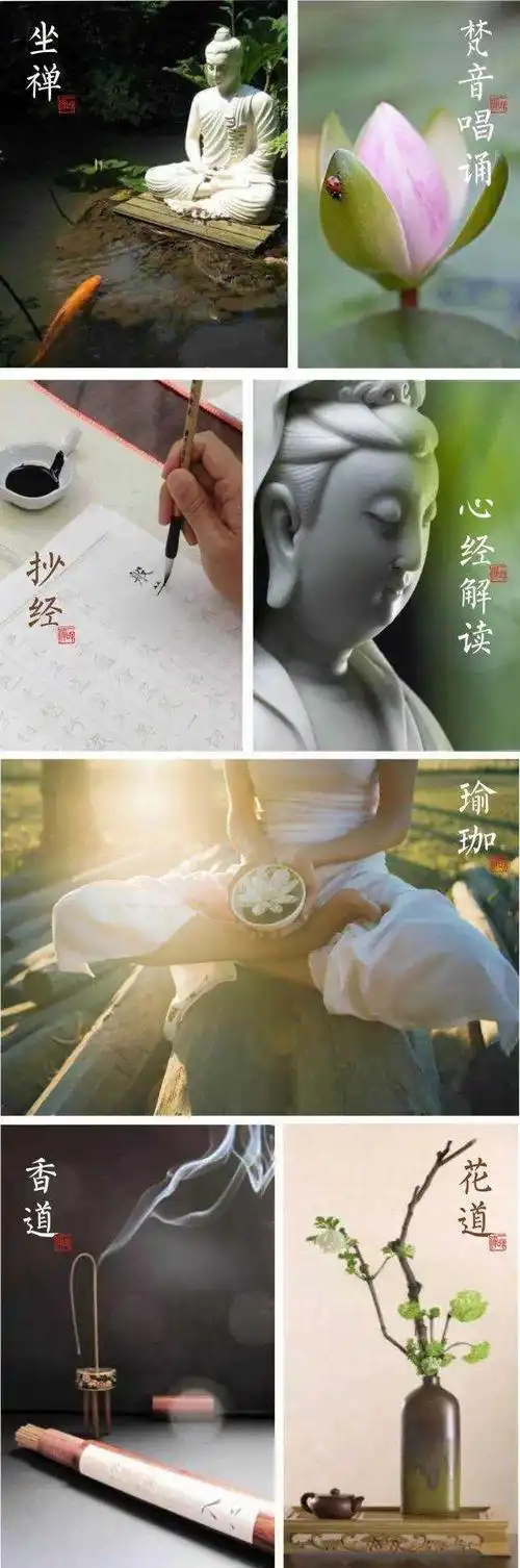 让自己从身到心更深入地静下来, 以物悟道,禅文化之旅内容包括: 茶道