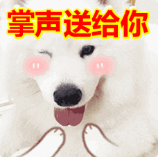 掌声送给你表情包动态gif表情图片 - 找表情上表情家