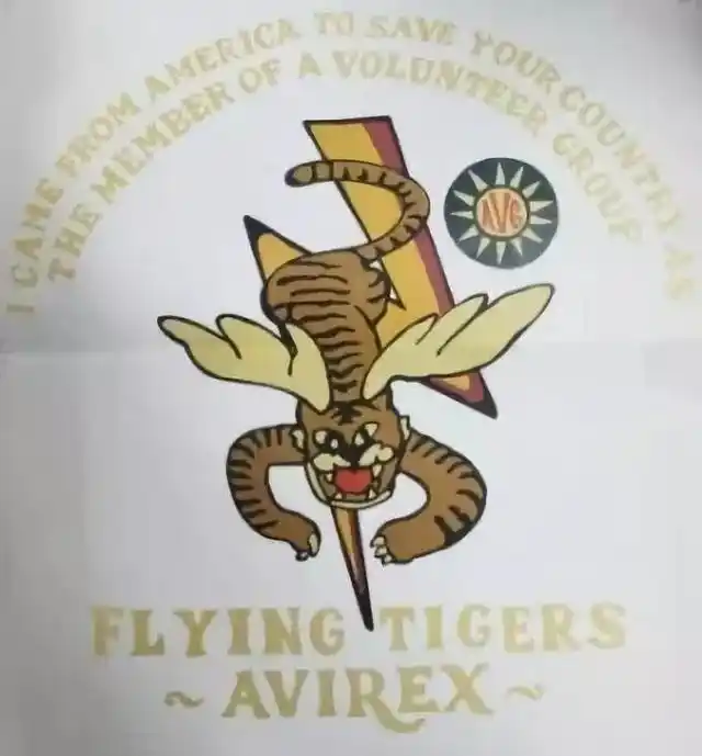 涉中美共同抗日"飞虎队"美术作品著作权纠纷案一审宣判