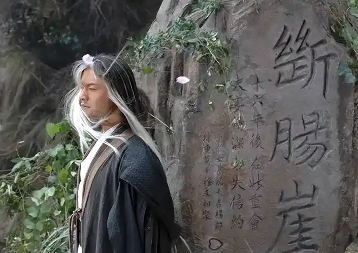 最后襄阳城大战后,他们两人彻底退隐江湖,神雕侠侣也只成为了江湖里的