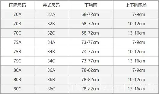 36码是abcd哪个罩杯?