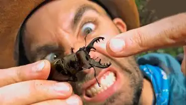 盘点世界上最爱咬人的4种动物隔着屏幕感受到了疼痛