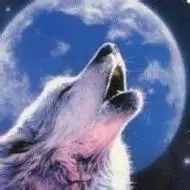 雪狼的头像寂寥若初独残霜