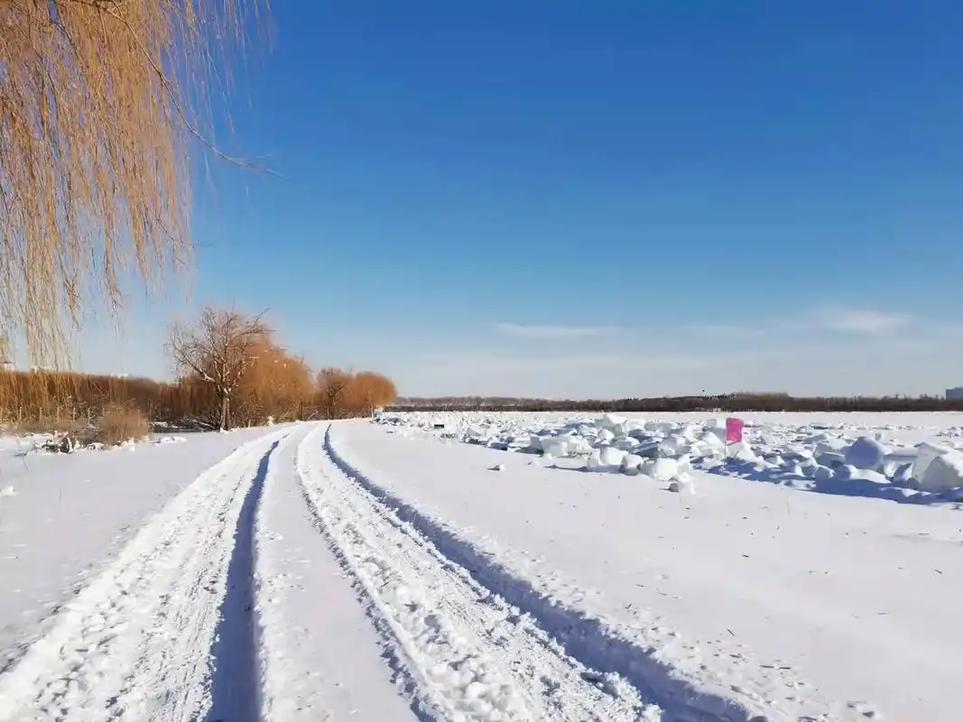 冰雕雪雕 #大东北的雪 #北国风光 #喜欢下雪的感觉 #雪 - 抖音