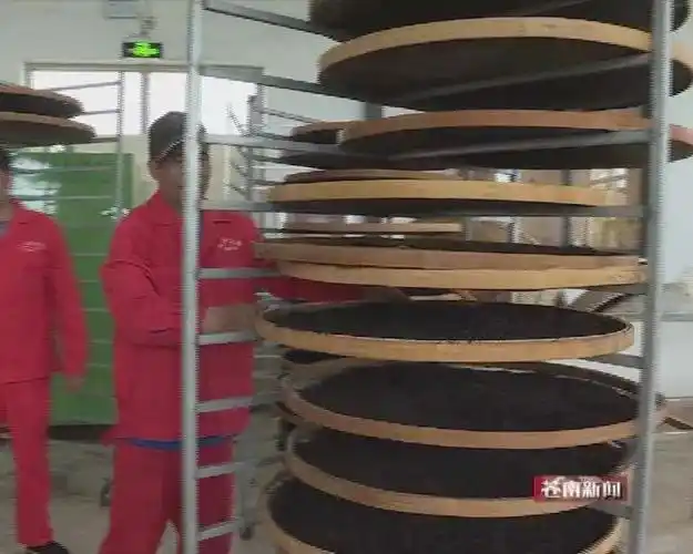 苍南老土茶荣获国家绿色食品a级认证