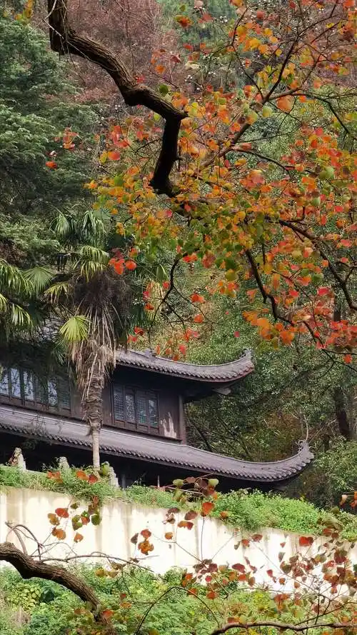 徽州旅拍(十一):诗画敬亭山 - 美篇