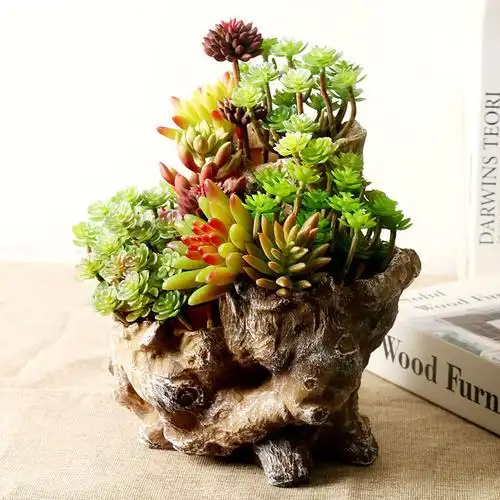 多肉树根花盆枯木树脂植物组合盆栽创意拼盘花盆