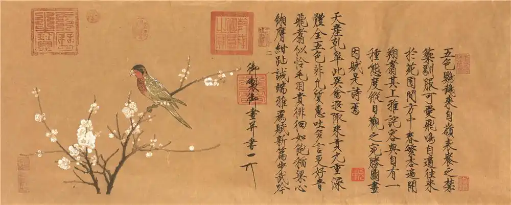 宋徽宗赵佶五色鹦鹉图