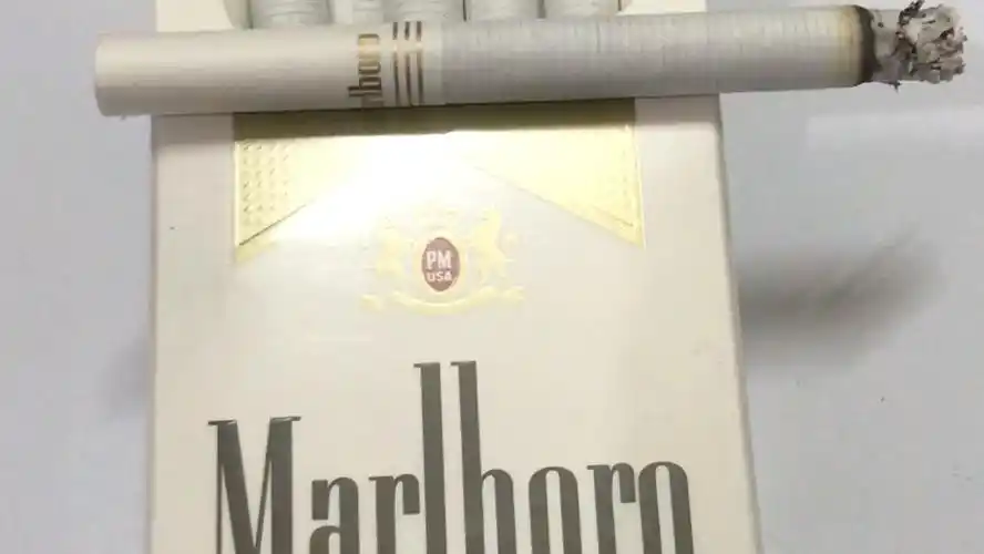 越代口粮分享-万宝路硬白金