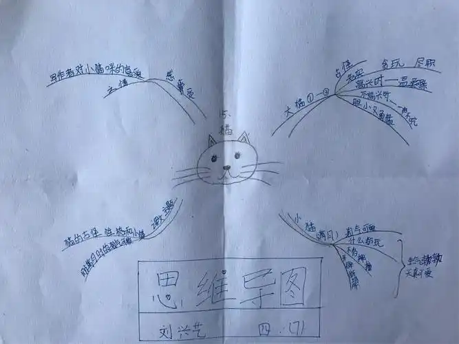 四年级七班第十二期优秀作品展—猫思维导图