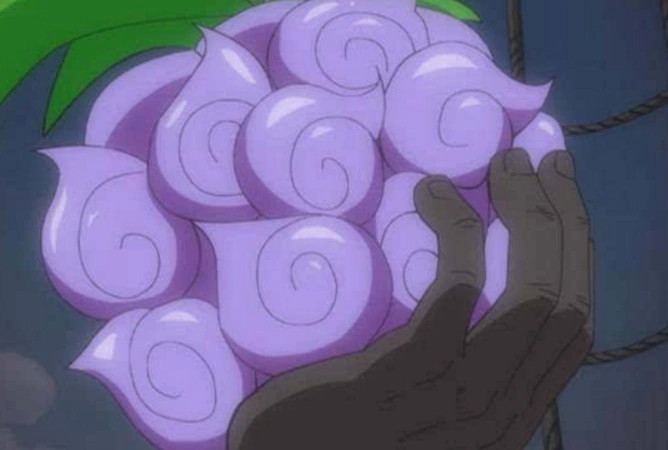 海贼王,为何巴基可以轻易得到分裂果实,而黑胡子要杀人夺宝?