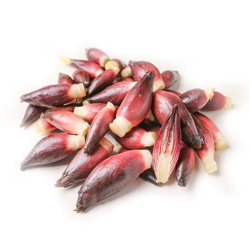 新鲜洋荷包邮阳姜野生野生阳荷茗荷洋火莲花姜洋姜其它