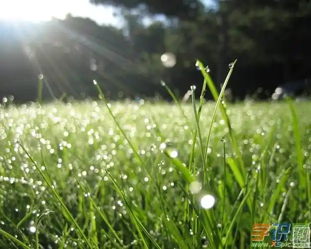 初中生写景作文欣赏:太阳雨