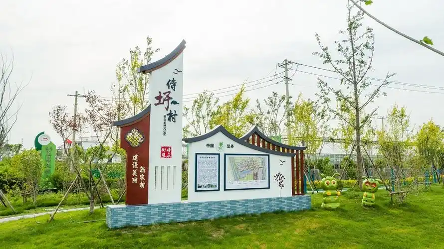 带领省定经济薄弱村华丽转身,村书记成美丽乡村的筑梦人-现代快报网