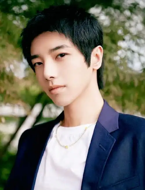 华晨宇个人资料介绍("火星弟弟"华晨宇图片)