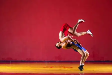 两个强壮的摔跤手照片