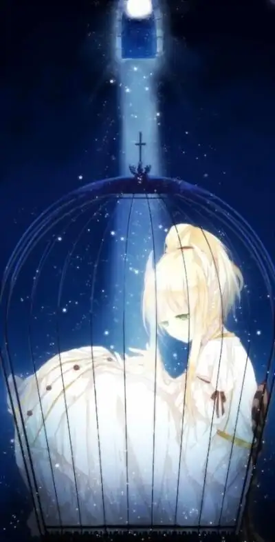 笼中鸟宁次 - 堆糖,美图壁纸兴趣社区