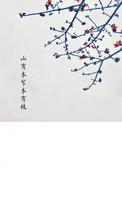 壁纸# 山有木兮木有枝 来自 张小篱儿